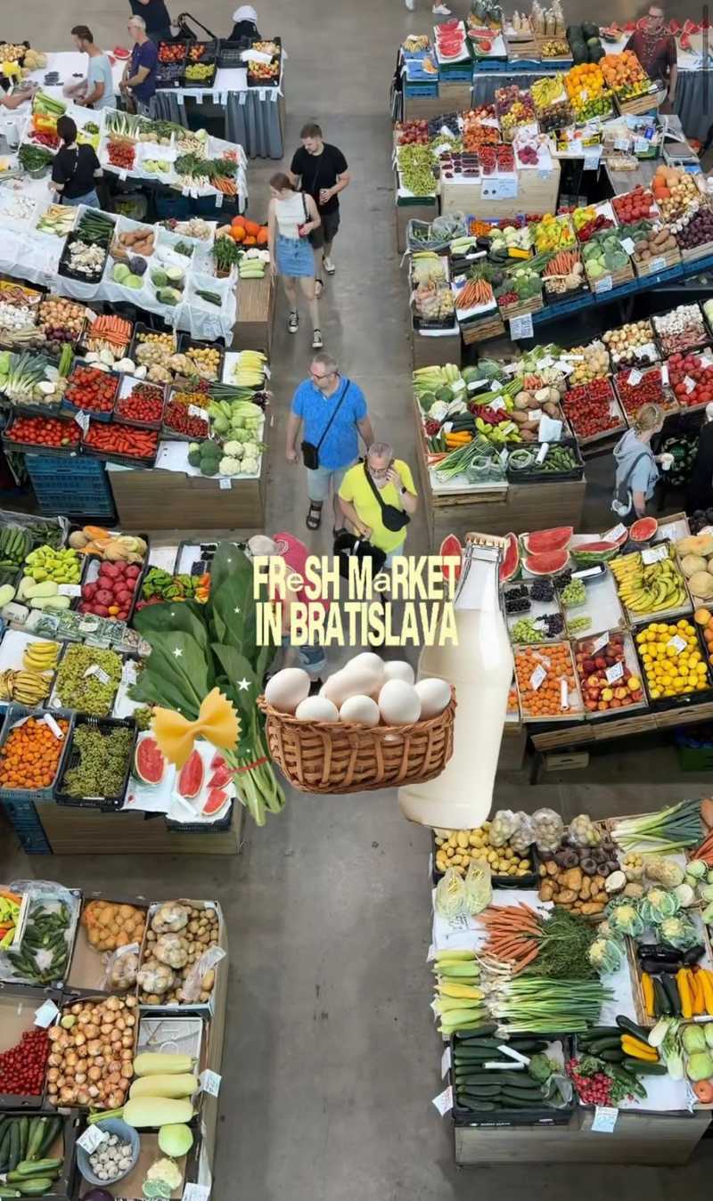 Ilustracia